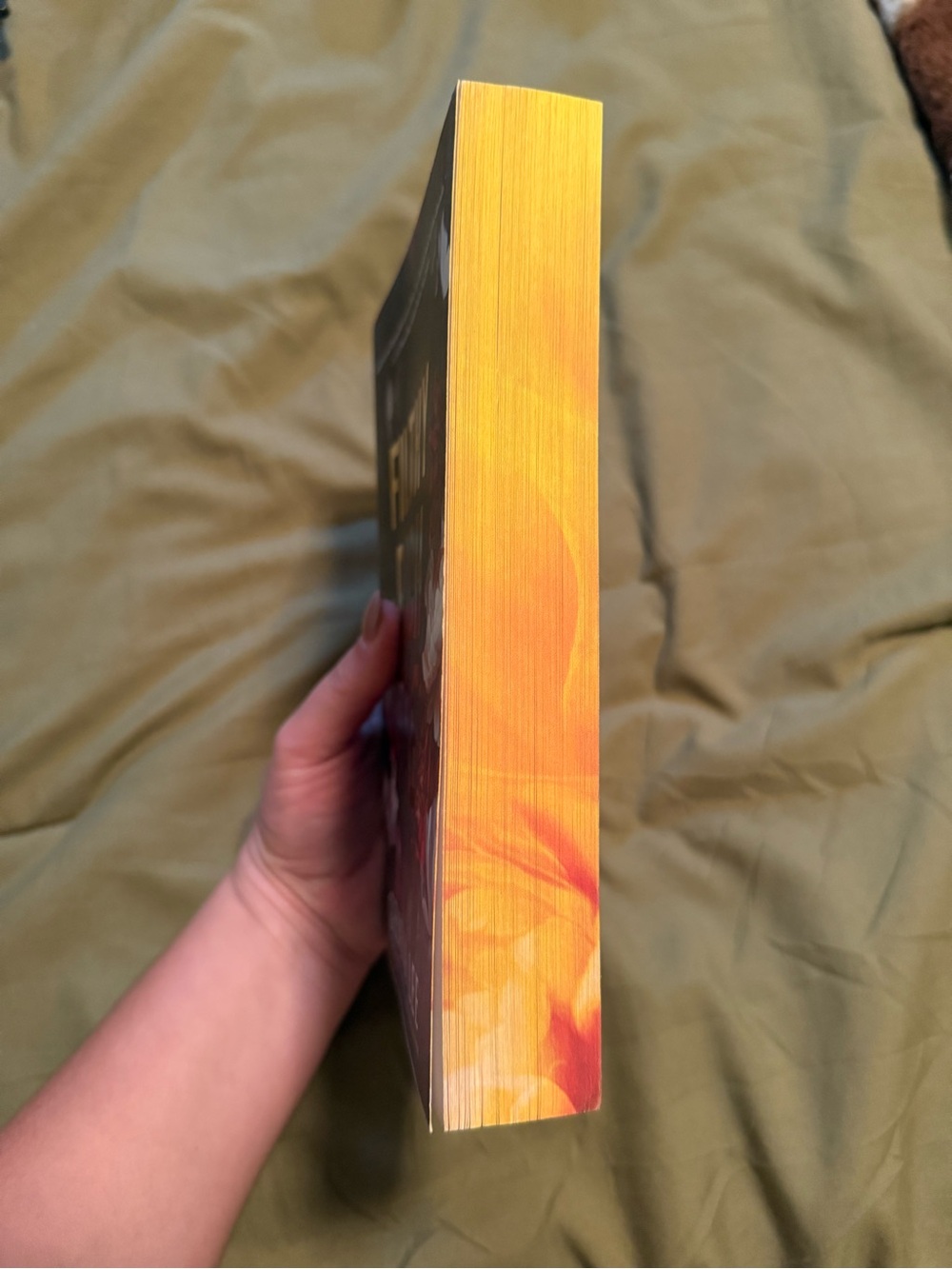 Filthy Rich Fae - Paperback - Picture 2 of 3